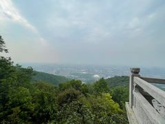 -杭州半山国家森林公园