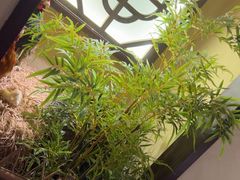 -洞庭土菜馆(天河北总店)