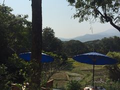 -四季酒店下午茶