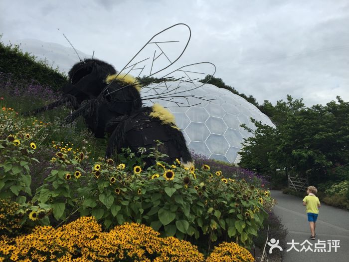 伊甸园植物园图片