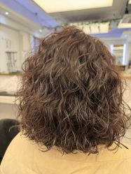 -镁连社·美联社