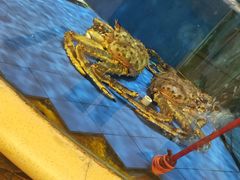 -友鹏海鲜(新宜白大道店)