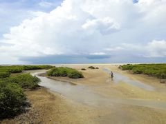 -北海金海湾红树林生态旅游区