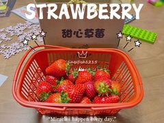 -甜心庄园·甜心草莓采摘园(西青中北店)