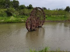-长田漾湿地公园
