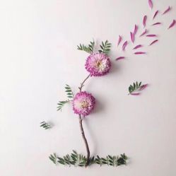 -宥莉·ULLY 痘敏肌•科技皮肤管理中心