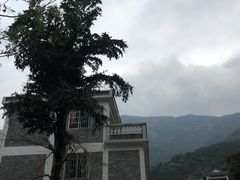 -罗浮山-南楼寺