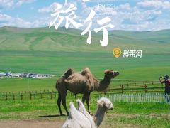 -呼伦贝尔大草原
