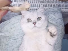 -北京国玉大酒店(鸟巢科技馆店)