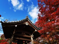 -常寂光寺