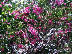 android_upload_pic-大沙河公园