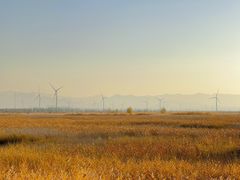 -野鸭湖国家湿地公园