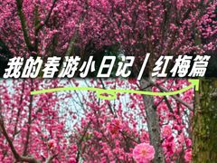 -眉山湿地公园(东坡区)