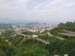-福道