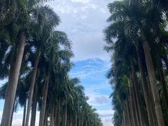 -南宁花花大世界景区