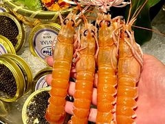 -Mr.Fish鱼鲜生海鲜放题(高德置地冬广场店)