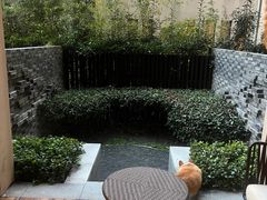-上海崇明金茂凯悦酒店