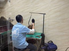 -安安宠医·安宠宠物医院