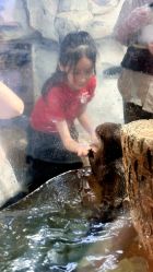 -Zoolung Zoolung动物主题公园(海信广场店)