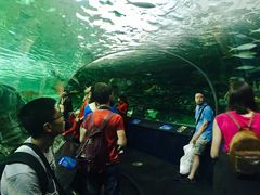 -瑞普利水族馆
