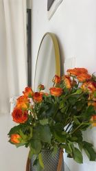 -Cream88颜皮肤管理中心