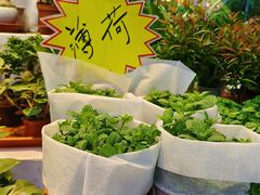 -大自然花鸟鱼虫市场