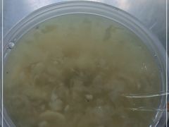 -甜蜜蜜(昌乐园店)