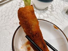 -丁老爷子苏香圆