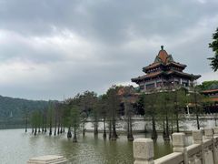 -顺峰山公园
