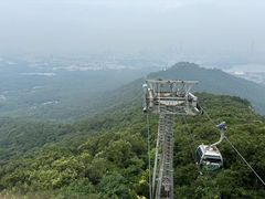 -紫金山山顶公园