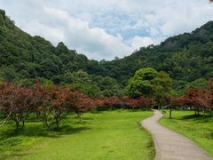 -五泄景区