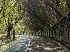 -苏州河梦清园环保主题公园