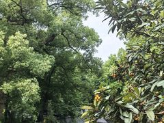 -灵隐飞来峰景区