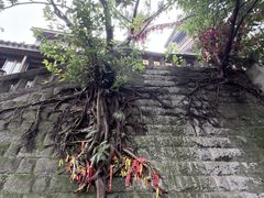 -重庆十八梯传统风貌区