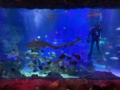 -沈阳海洋探索中心