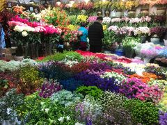 -双季花艺园艺市场(浦东店)