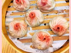 如皋萝卜牛腩小笼包-苏小柳点心·手作小笼包(新街口分院店)