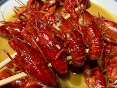 -杨氏青龙虾·羊蝎子(珠江路店)