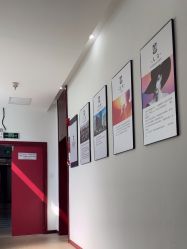 -南京医科大学友谊整形外科医院