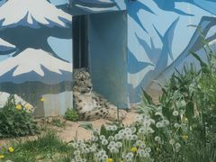 -青藏高原野生动物园