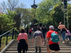 -上海佘山国家森林公园西佘山园