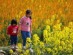 -中国天府农业博览园