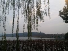 -湖畔居茶楼(湖滨店)