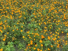 -江苏三台山国家森林公园