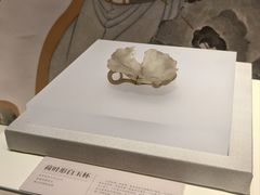 -衢州市博物馆