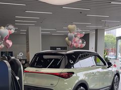 -上海浦东smart汽车全功能店(金桥店)
