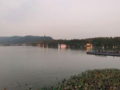 -湖畔居茶楼(湖滨店)