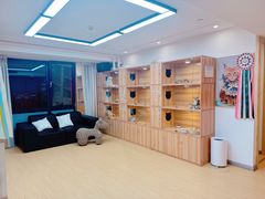 -猫十亿·布偶金渐层·曼基康矮脚猫舍(青年路店)