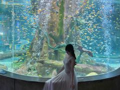 -合肥海洋世界