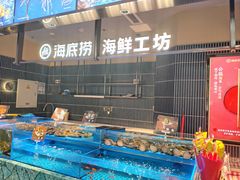 -海底捞火锅(长宁路龙之梦店)
